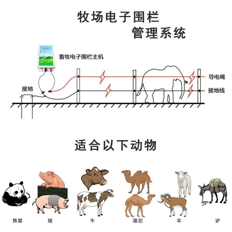 畜牧電子圍欄主機(jī)TT-P2（已停產(chǎn)）